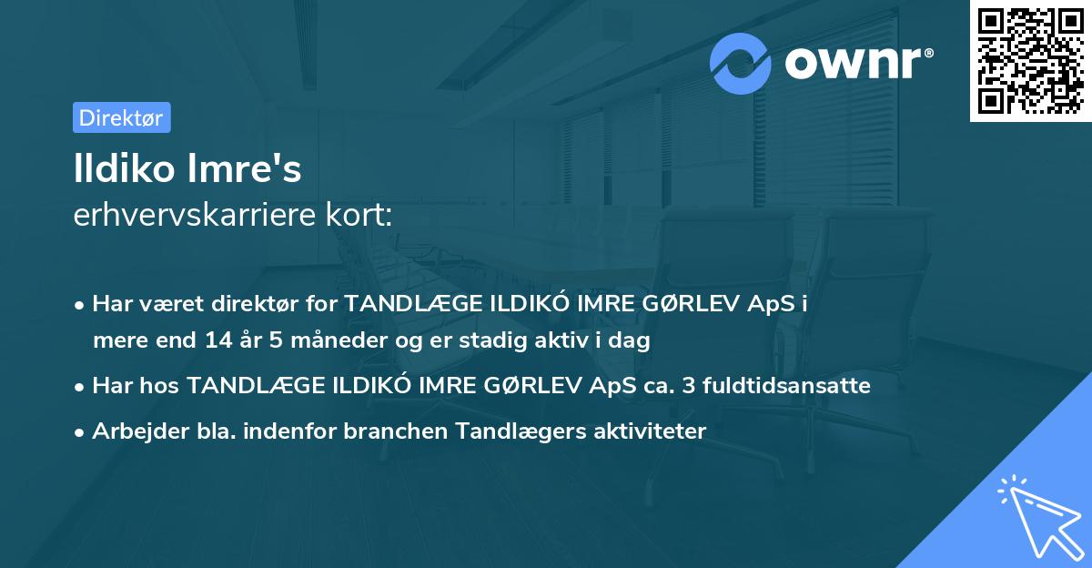 Ildiko Imre's erhvervskarriere kort