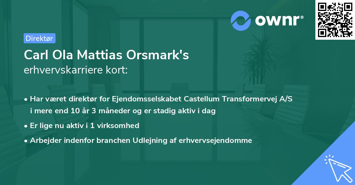 Carl Ola Mattias Orsmark's erhvervskarriere kort