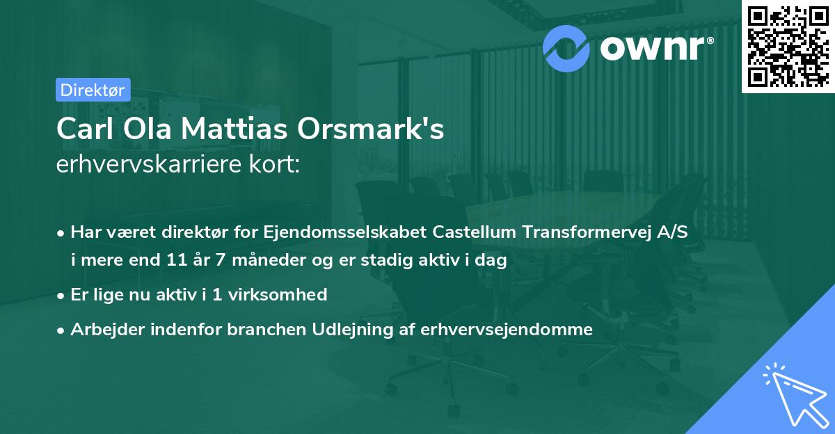 Carl Ola Mattias Orsmark's erhvervskarriere kort