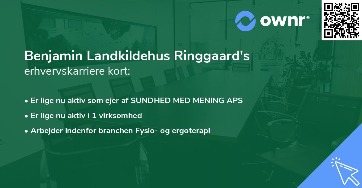 Benjamin Landkildehus Ringgaard's erhvervskarriere kort