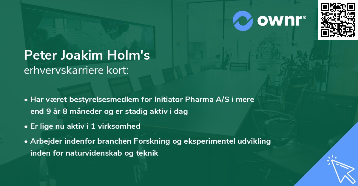 Peter Joakim Holm's erhvervskarriere kort
