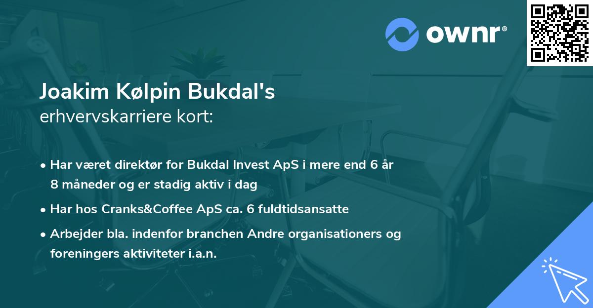 Joakim Kølpin Bukdal's erhvervskarriere kort