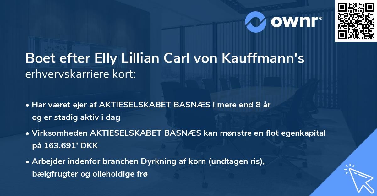 Boet efter Elly Lillian Carl von Kauffmann's erhvervskarriere kort