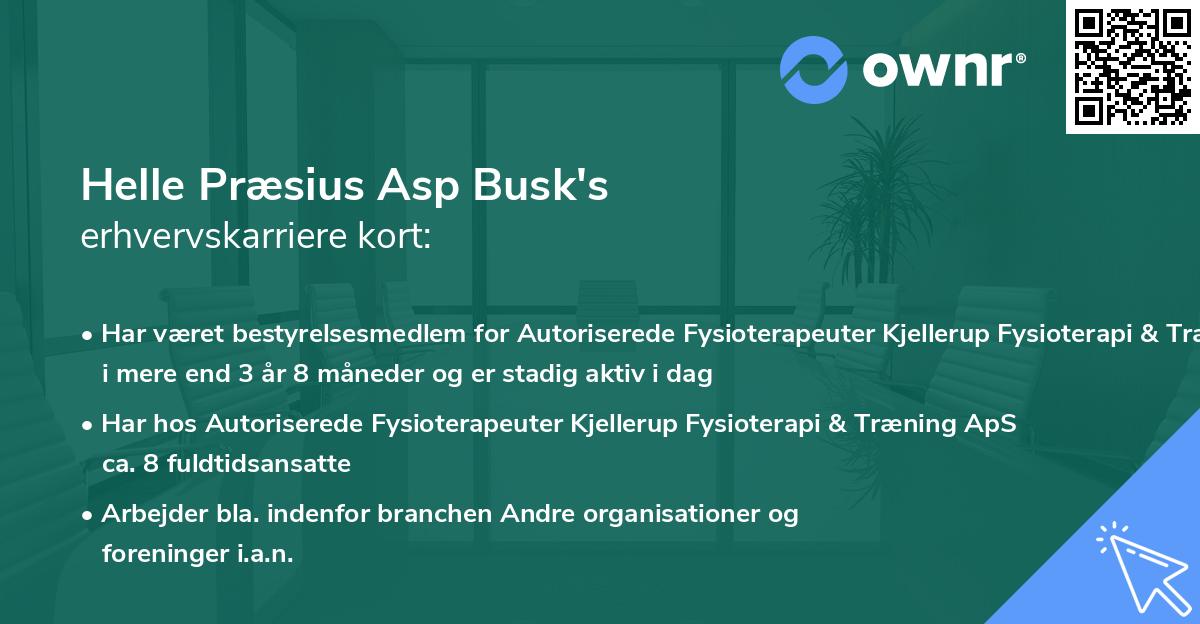 Helle Præsius Asp Busk's erhvervskarriere kort