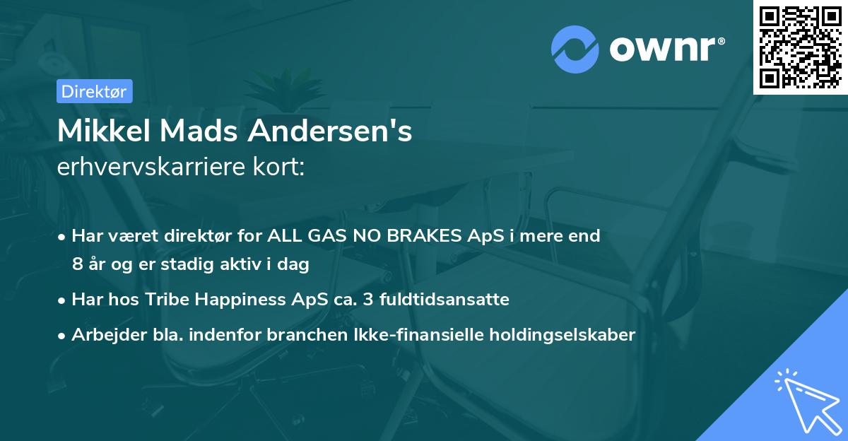 Mikkel Mads Andersen's erhvervskarriere kort