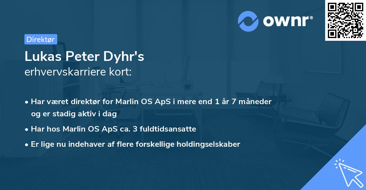 Lukas Peter Dyhr's erhvervskarriere kort