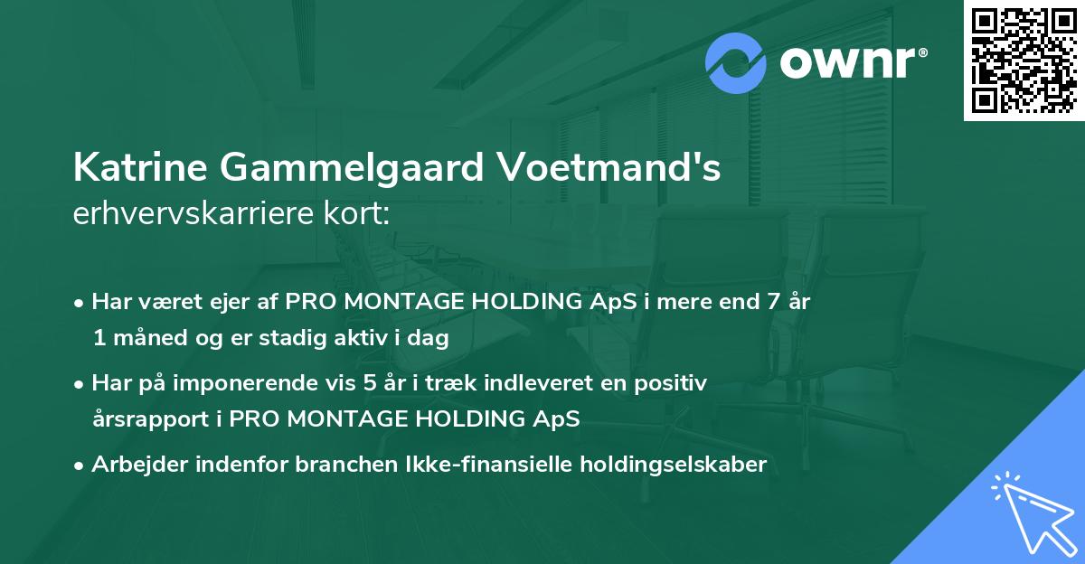 Katrine Gammelgaard Voetmand's erhvervskarriere kort