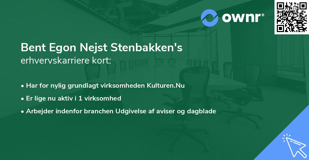 Bent Egon Nejst Stenbakken's erhvervskarriere kort