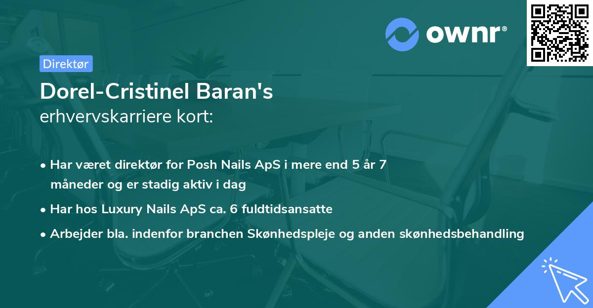 Dorel-Cristinel Baran's erhvervskarriere kort