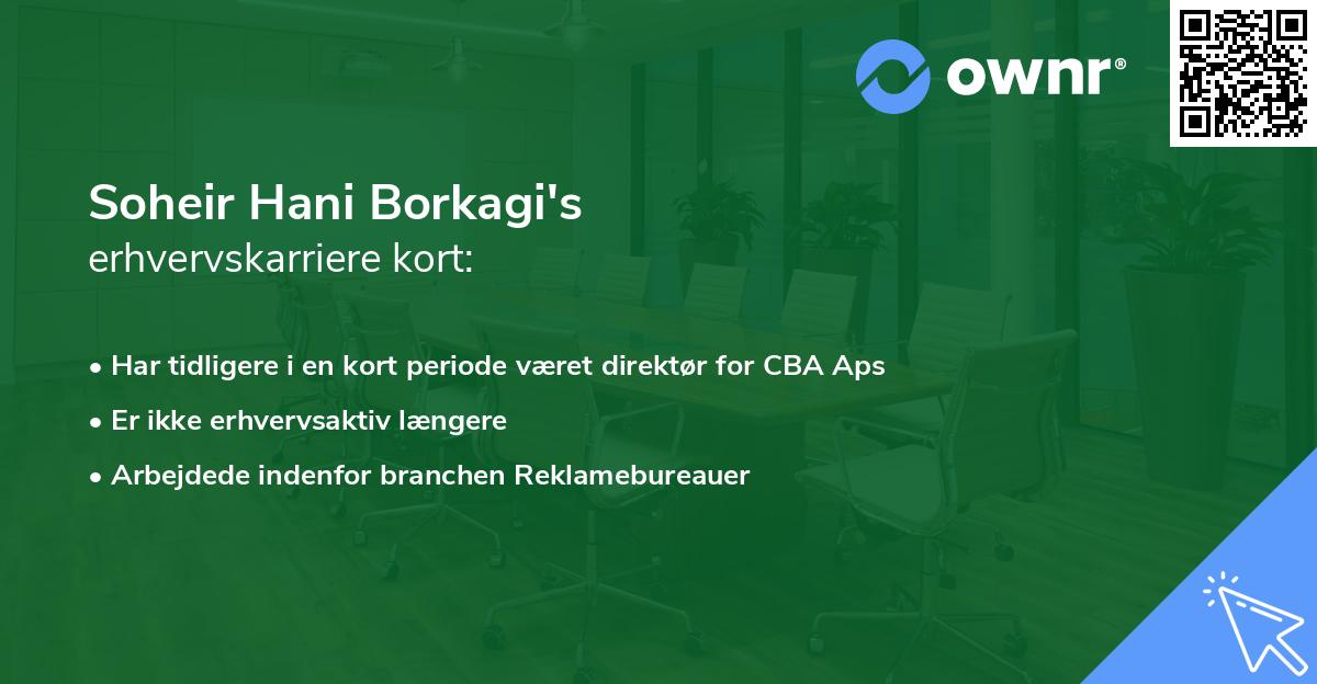 Soheir Hani Borkagi's erhvervskarriere kort