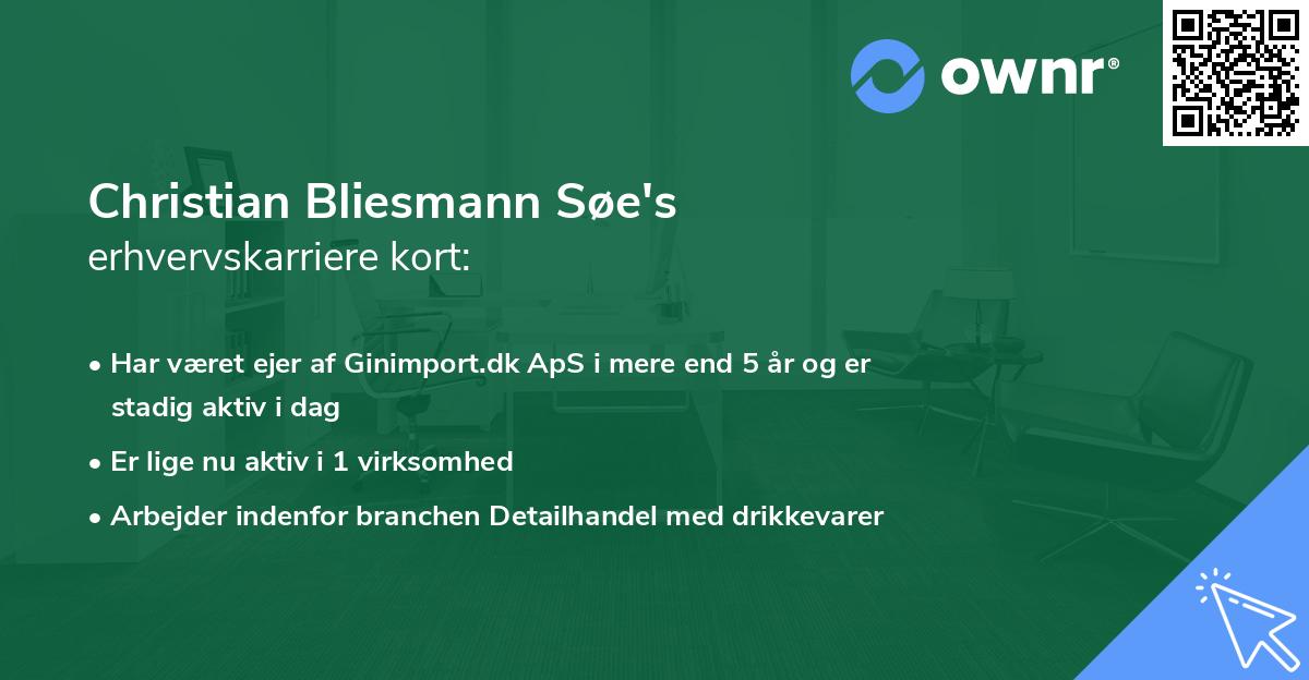 Christian Bliesmann Søe's erhvervskarriere kort