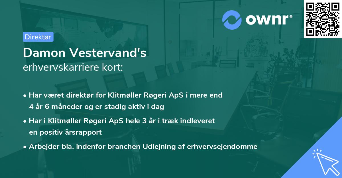Damon Vestervand's erhvervskarriere kort