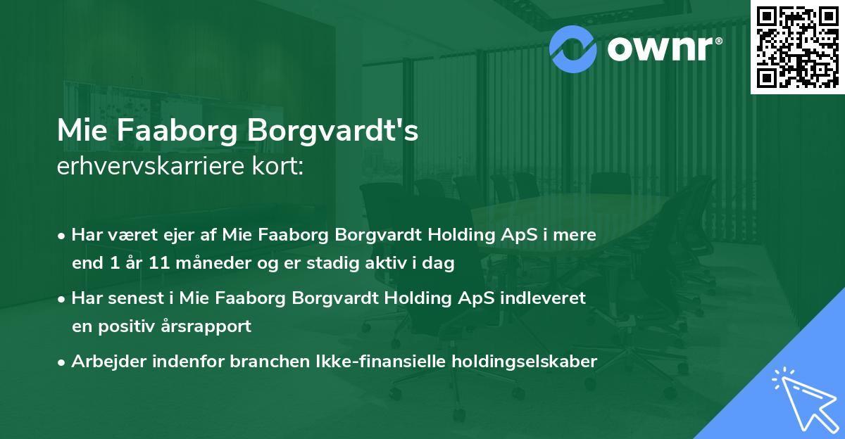 Mie Faaborg Borgvardt's erhvervskarriere kort