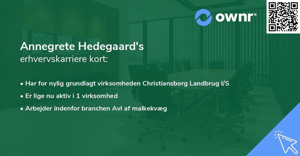 Annegrete Hedegaard's erhvervskarriere kort