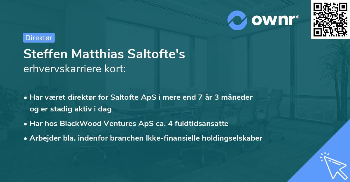 Steffen Matthias Saltofte's erhvervskarriere kort