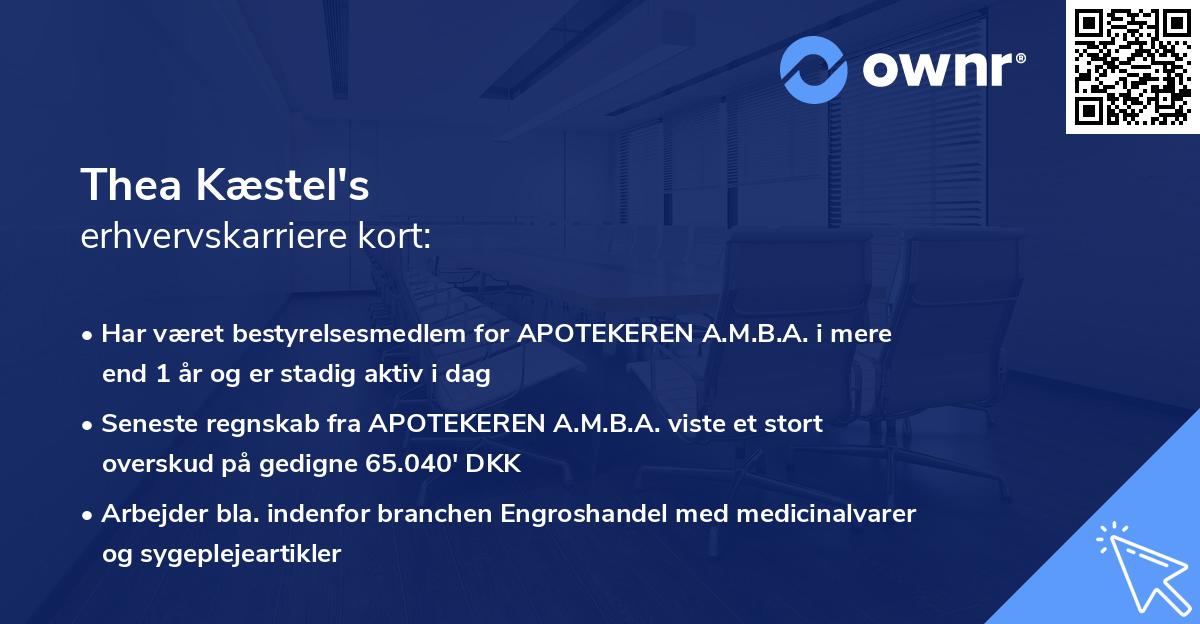 Thea Kæstel's erhvervskarriere kort