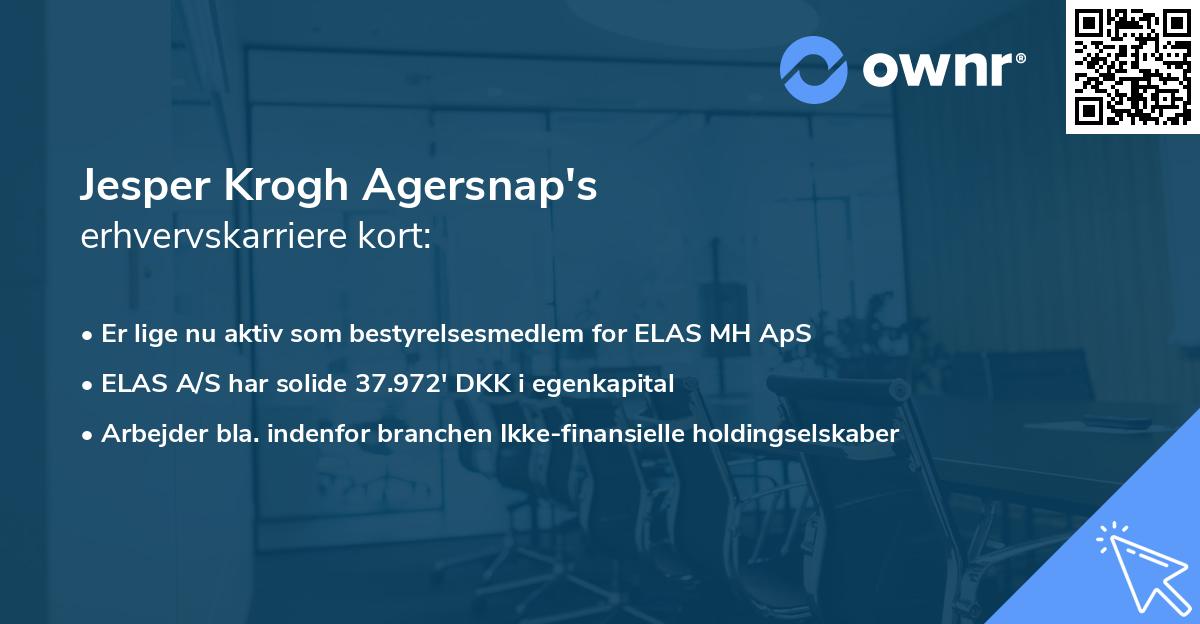 Jesper Krogh Agersnap's erhvervskarriere kort