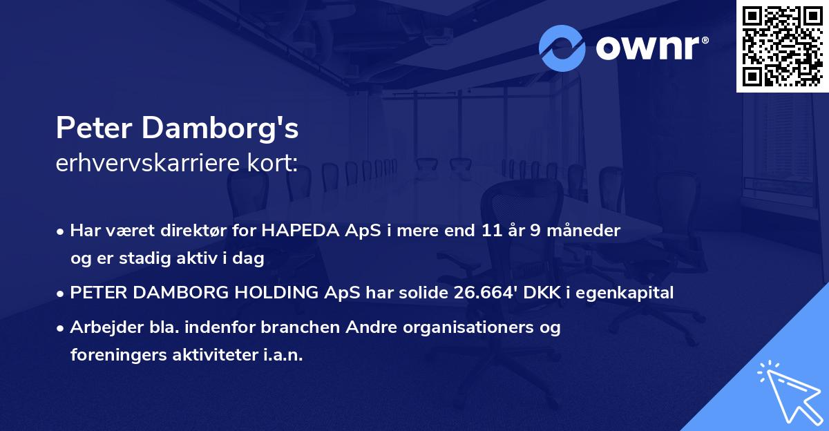 Peter Damborg's erhvervskarriere kort