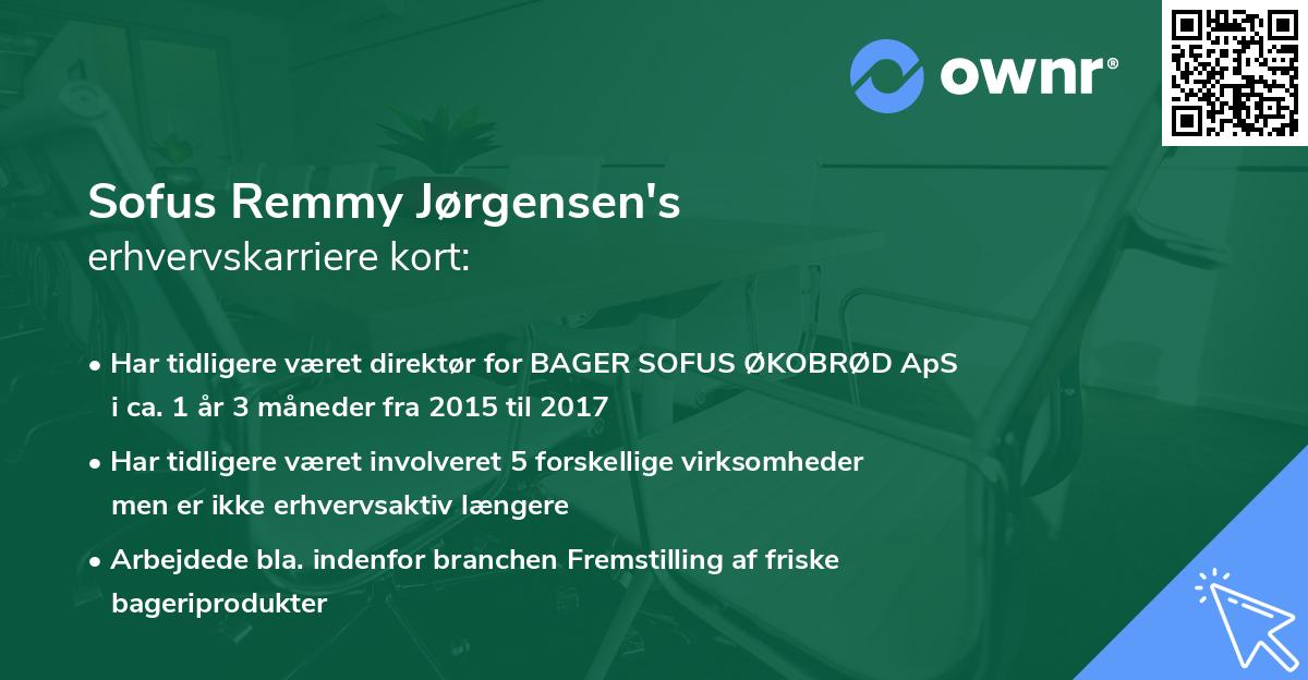 Sofus Remmy Jørgensen's erhvervskarriere kort