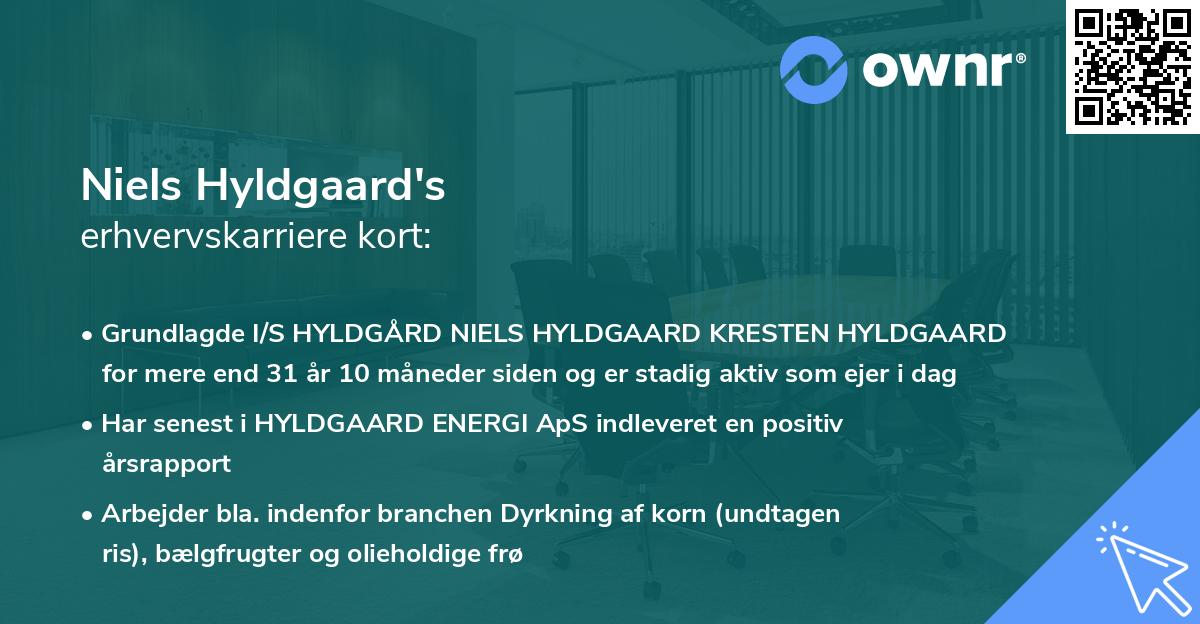 Niels Hyldgaard's erhvervskarriere kort