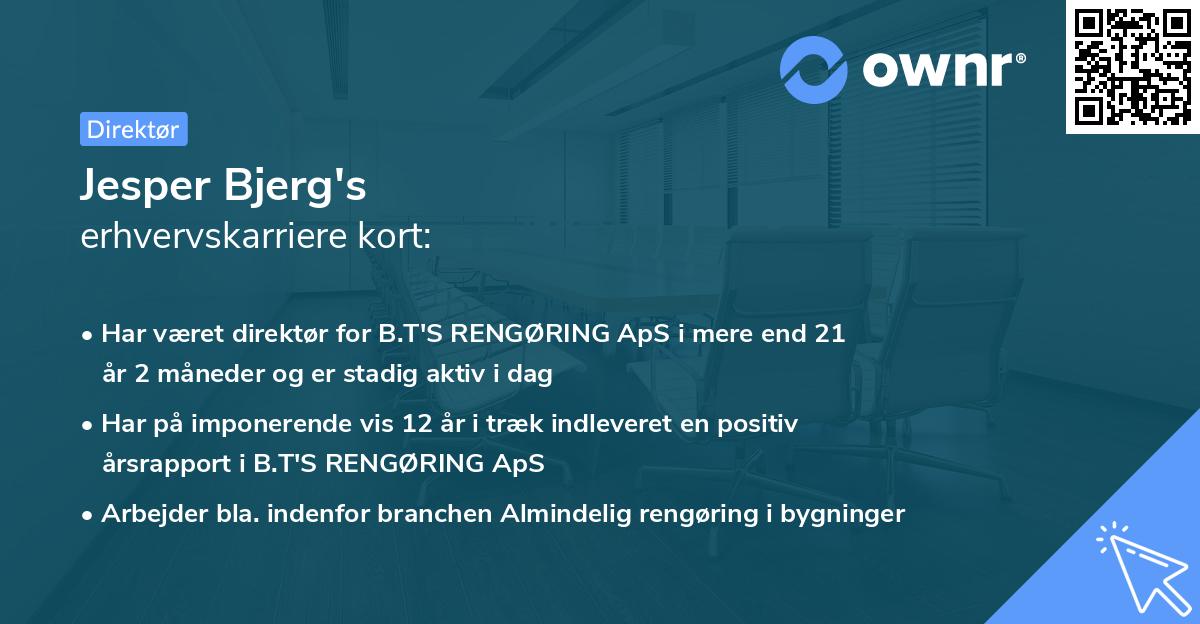 Jesper Bjerg's erhvervskarriere kort