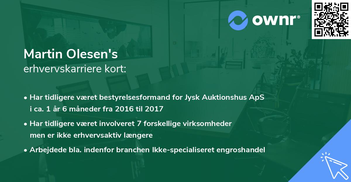 Martin Olesen's erhvervskarriere kort
