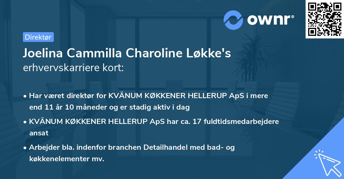 Joelina Cammilla Charoline Løkke's erhvervskarriere kort