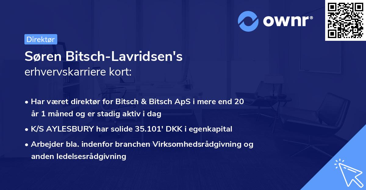 Søren Bitsch-Lavridsen's erhvervskarriere kort