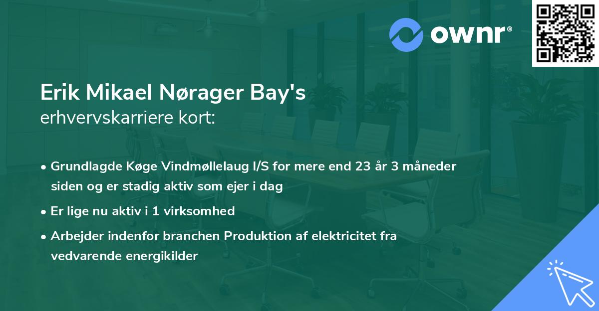 Erik Mikael Nørager Bay's erhvervskarriere kort