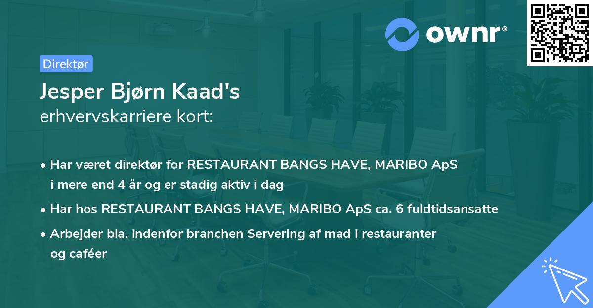 Jesper Bjørn Kaad's erhvervskarriere kort