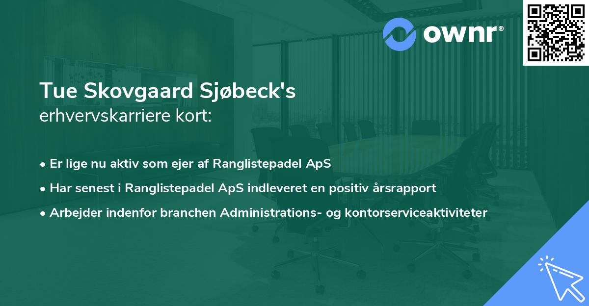 Tue Skovgaard Sjøbeck's erhvervskarriere kort
