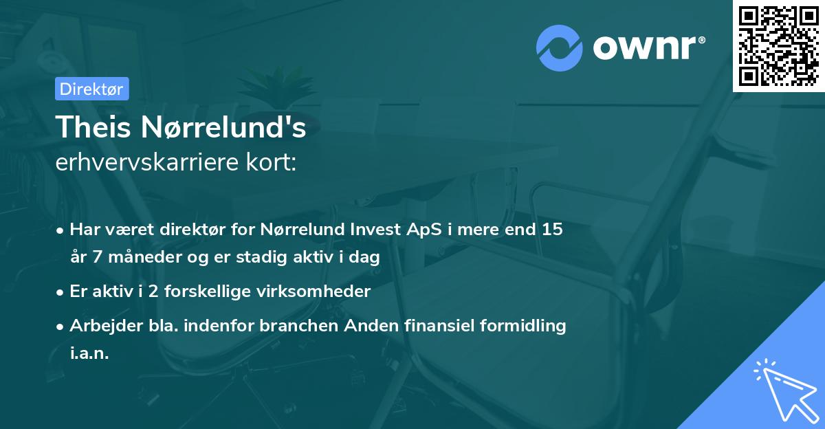 Theis Nørrelund's erhvervskarriere kort