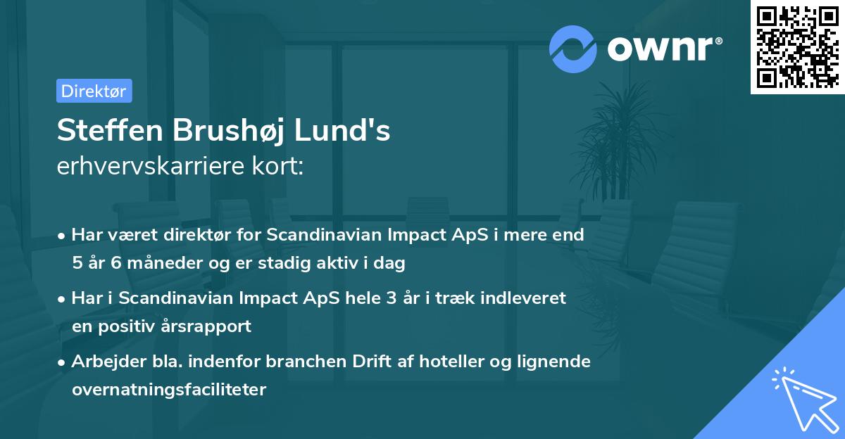 Steffen Brushøj Lund's erhvervskarriere kort