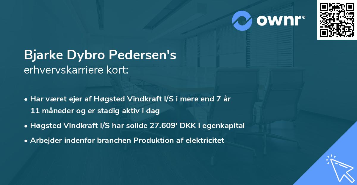 Bjarke Dybro Pedersen's erhvervskarriere kort