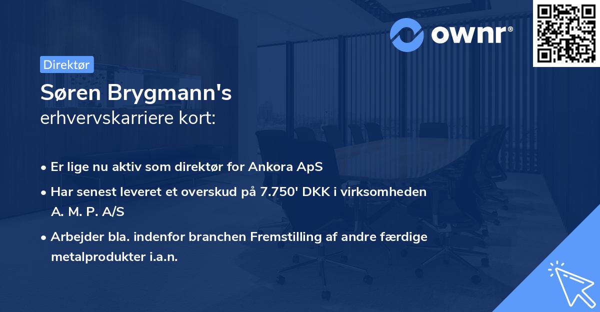 Søren Brygmann's erhvervskarriere kort