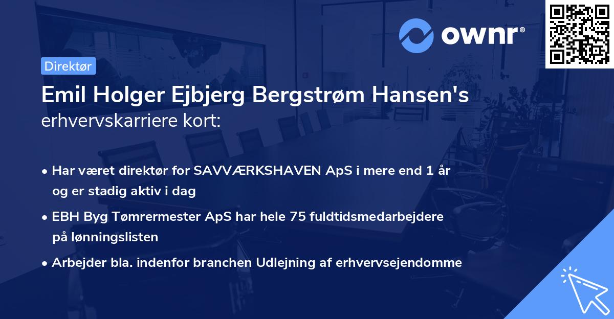 Emil Holger Ejbjerg Bergstrøm Hansen's erhvervskarriere kort