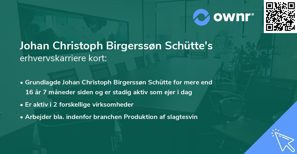 Johan Christoph Birgerssøn Schütte's erhvervskarriere kort