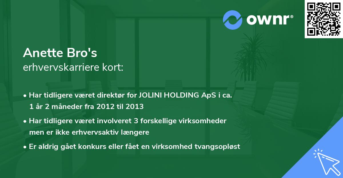 Anette Bro's erhvervskarriere kort