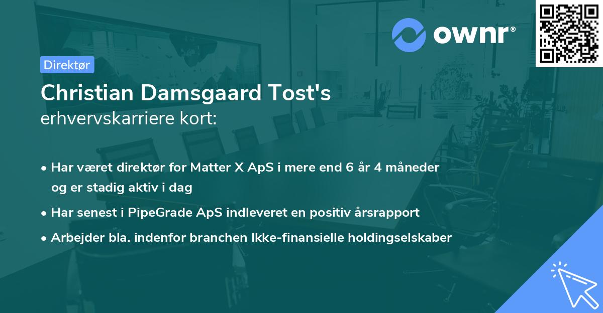 Christian Damsgaard Tost's erhvervskarriere kort