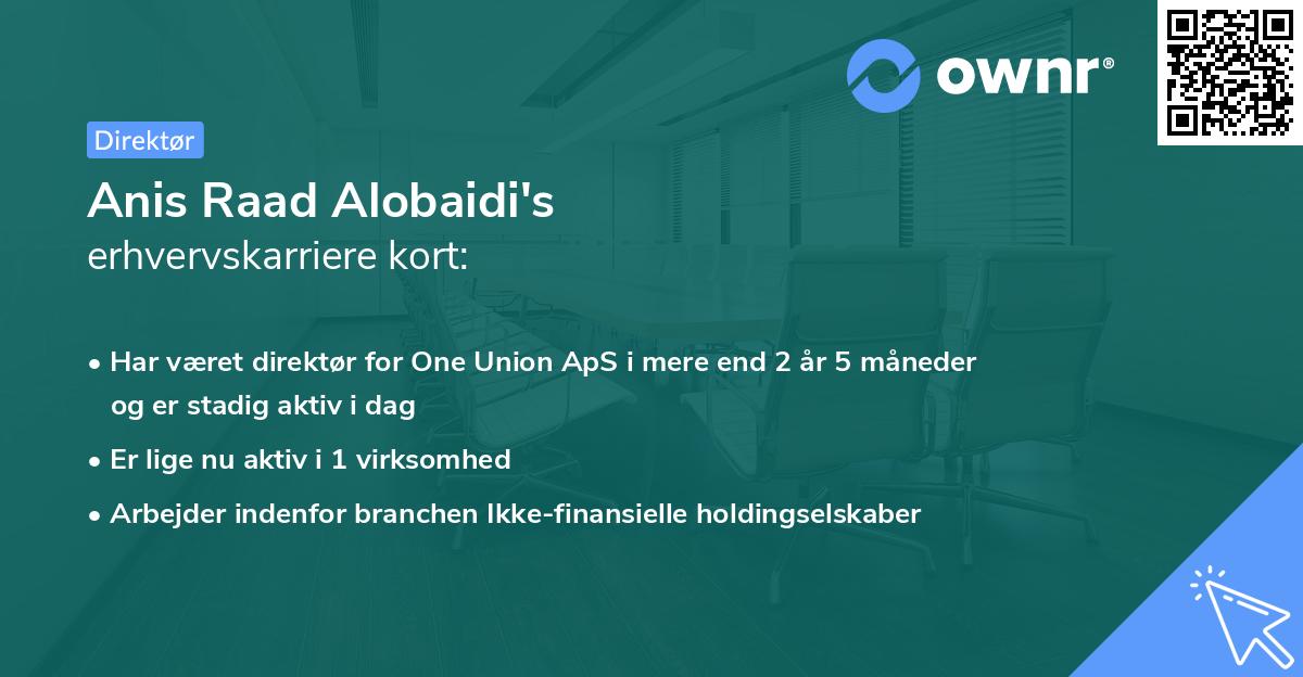 Anis Raad Alobaidi's erhvervskarriere kort