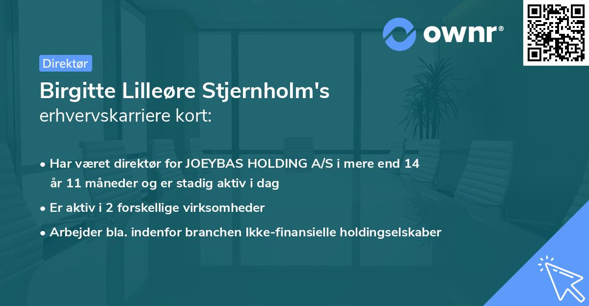 Birgitte Lilleøre Stjernholm's erhvervskarriere kort
