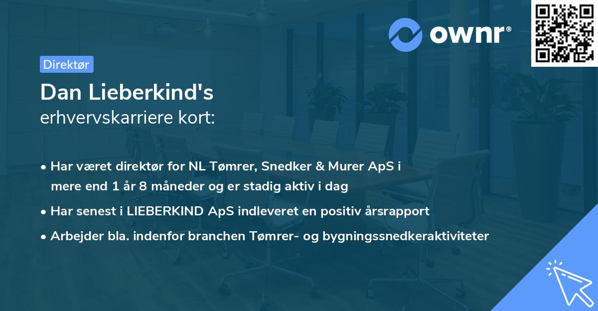 Dan Lieberkind's erhvervskarriere kort