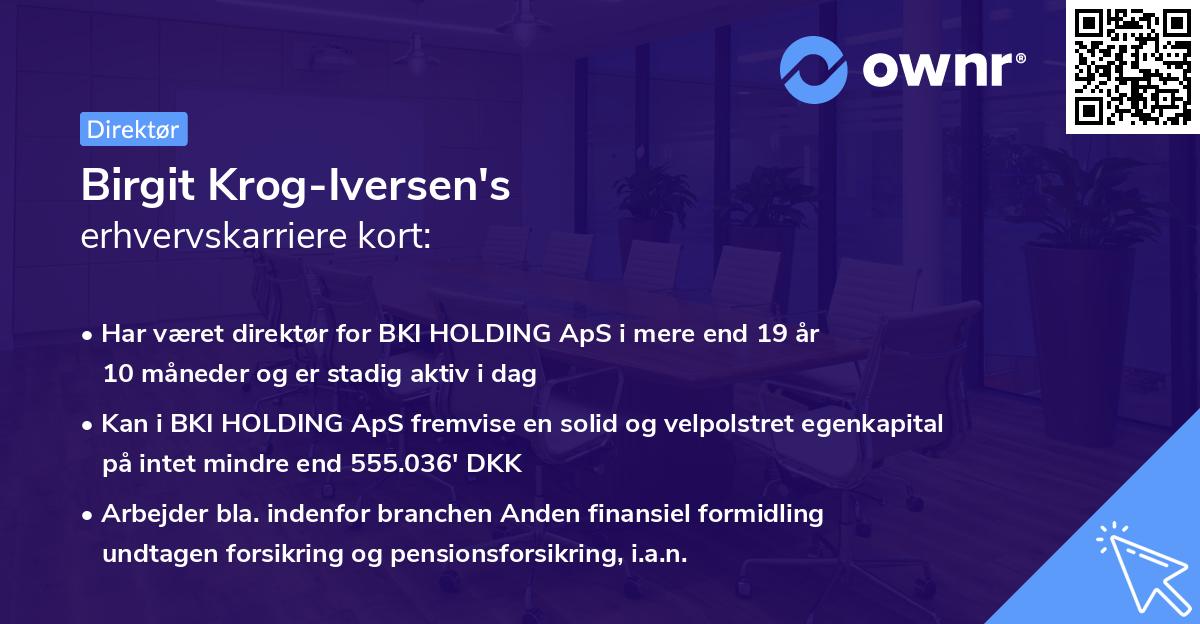 Birgit Krog-Iversen's erhvervskarriere kort