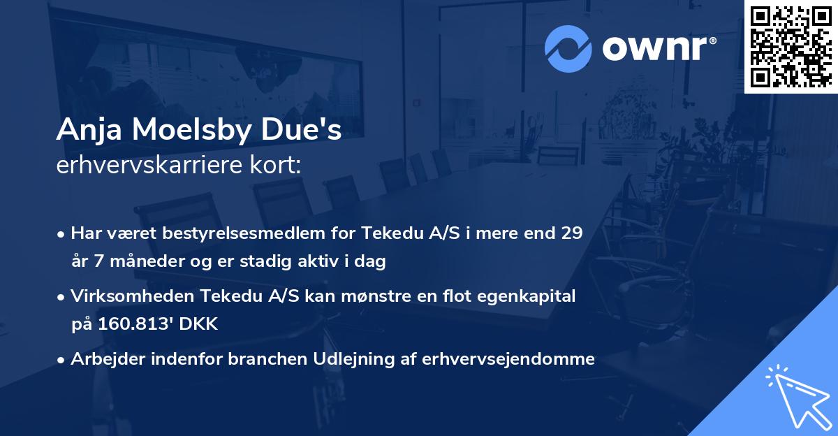 Anja Moelsby Due's erhvervskarriere kort