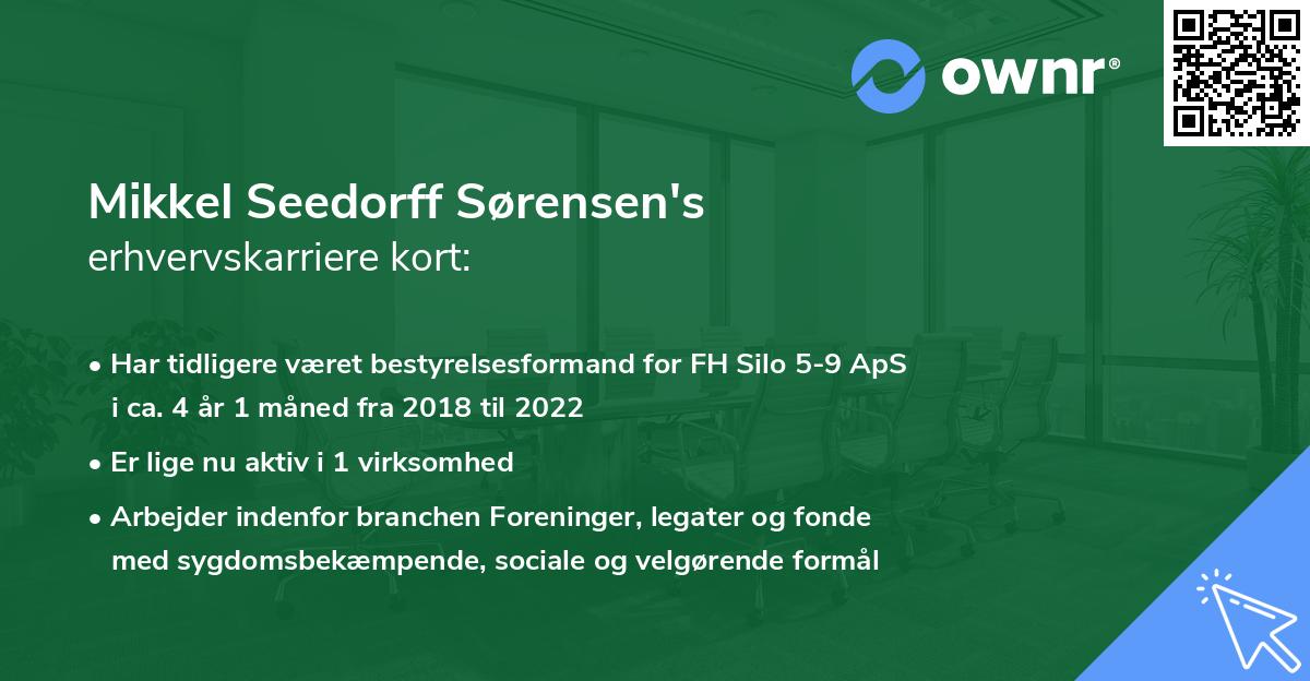 Mikkel Seedorff Sørensen's erhvervskarriere kort
