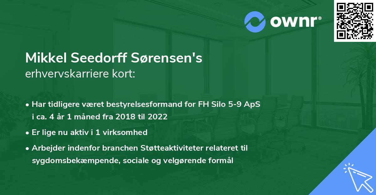 Mikkel Seedorff Sørensen's erhvervskarriere kort