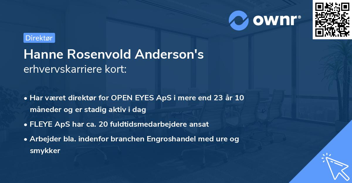 Hanne Rosenvold Anderson's erhvervskarriere kort