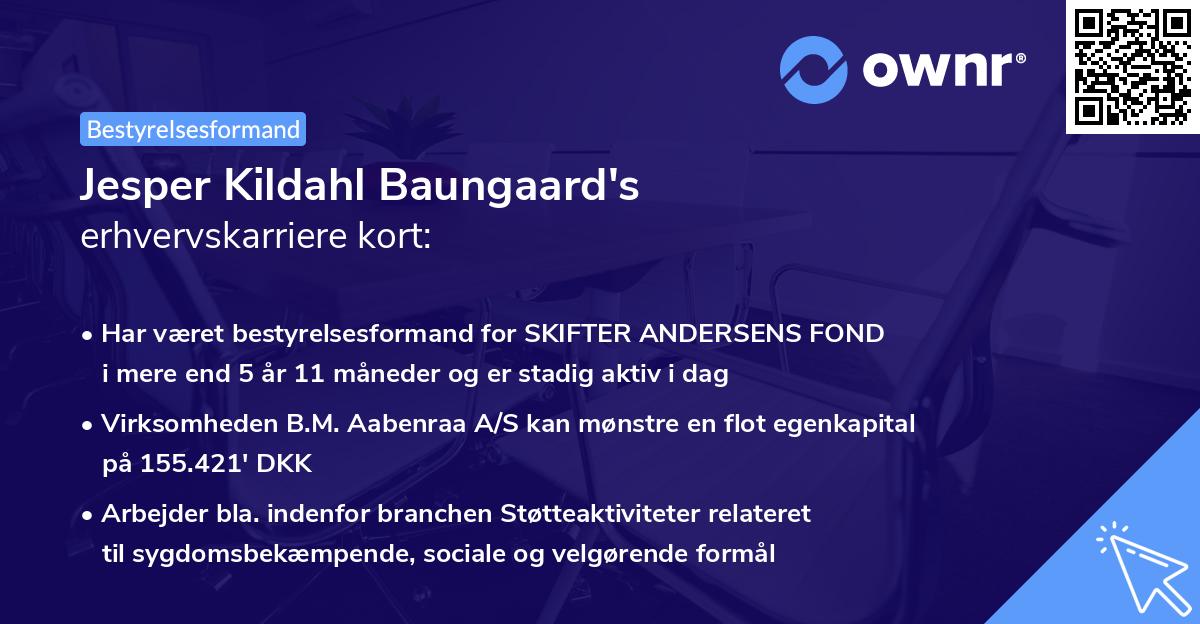 Jesper Kildahl Baungaard's erhvervskarriere kort