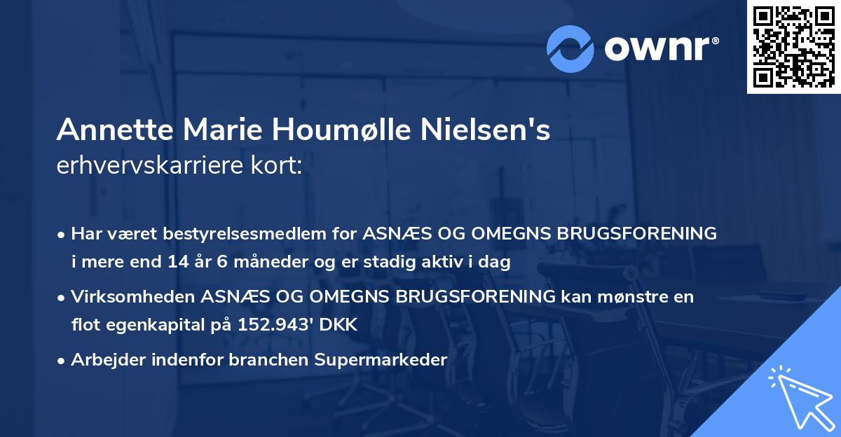 Annette Marie Houmølle Nielsen's erhvervskarriere kort