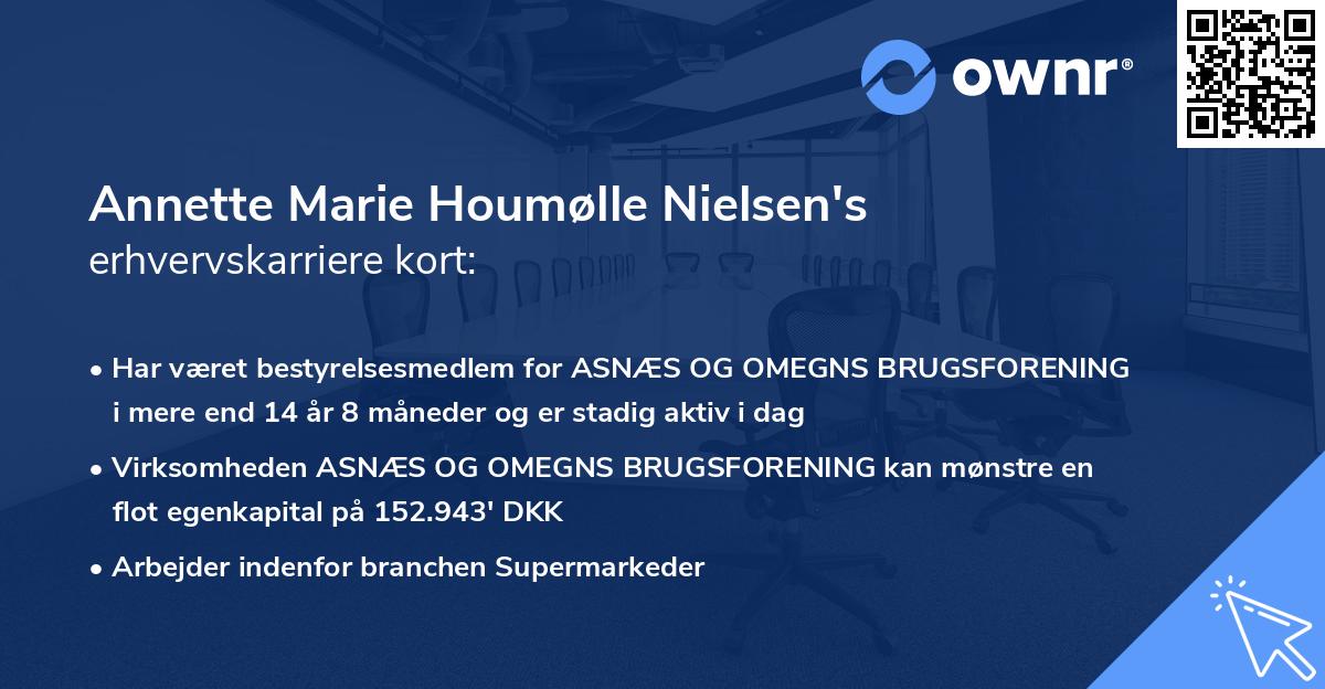 Annette Marie Houmølle Nielsen's erhvervskarriere kort